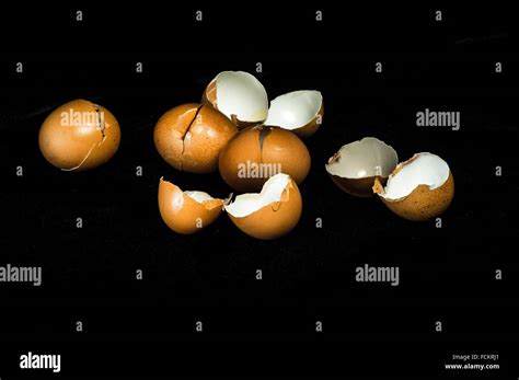 6 Eggs Hi Res Stock Photography And Images Alamy