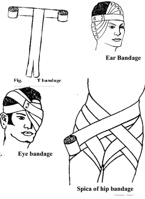 Uses Guidelines And Types Of Bandages