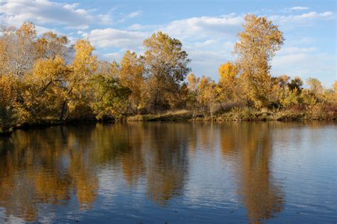 Golden Fall Trees Reflected In Lake Picture Free Photograph Photos