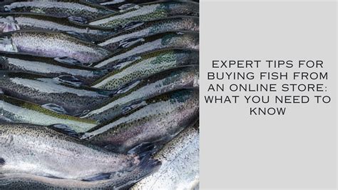 Expert Tips For Buying Fish From An Online Store What You Need To Know