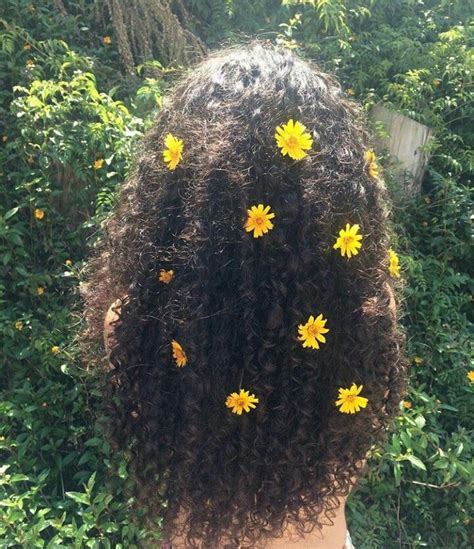 Fotos Inspirações Kinky Curly Hair Weave Curly Hair Types Natural