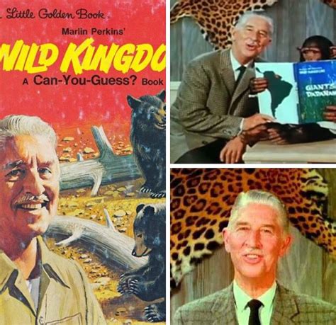 Mutual Of Omaha Wild Kingdom I Remember This Show Back In The Day