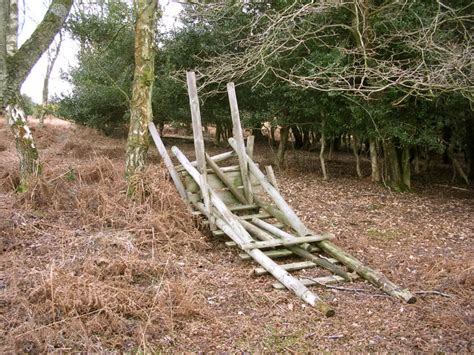 Collapsed Deer Stalking Seat Ocknell © Jim Champion Cc By Sa20
