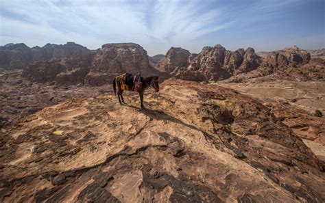 20 Images Of Petra That Show Just How Incredible It Is