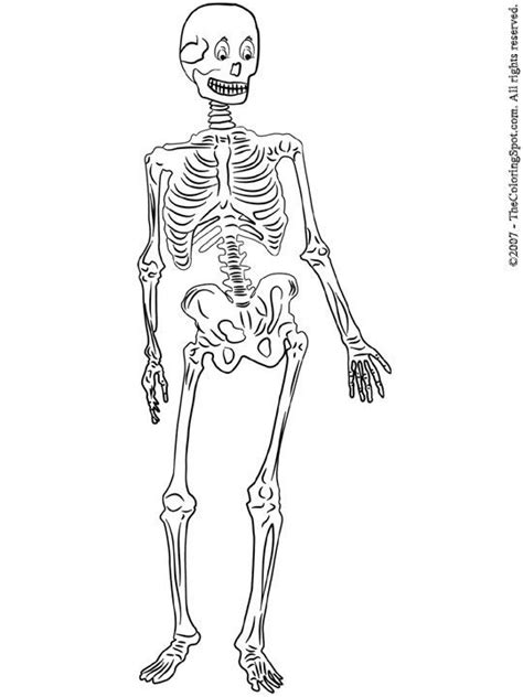 Skeleton Coloring Pages Skeleton Printable Coloring Pages For Kids