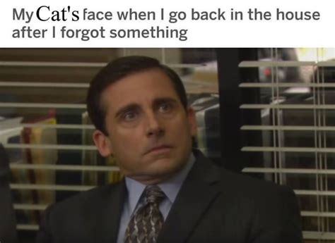 The Office Memes Michael And Toby