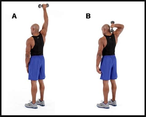 One Arm Tricep Extension Behind Head Exercise Program