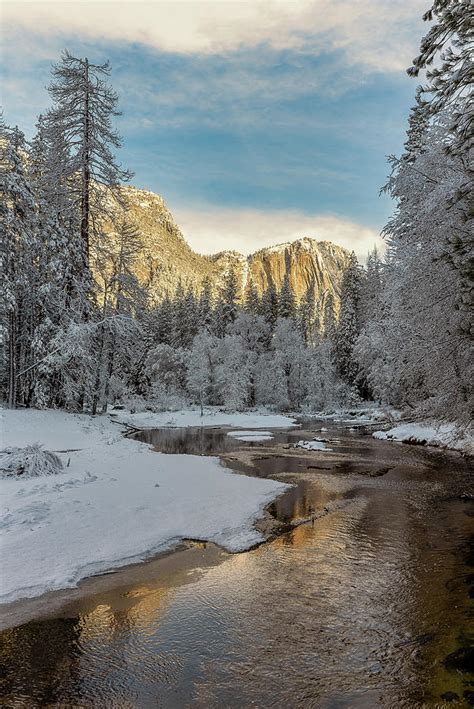 Mornng On The Merced River In Winter Photograph By Doug Holck Fine