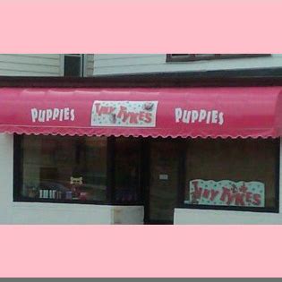 2661 s howell ave (rosedale) милуоки, wi 53207 сша. Tiny Tykes Puppies Milwaukee Wi : Tiny Tykes Puppies Milwaukee Wi 2021 / Taking deposits call or ...