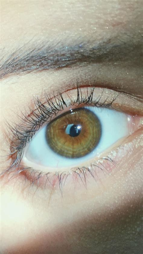 My Brown Eyes I Always Thought They Were Really Plain Until I Saw