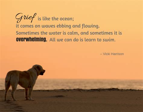 Death is unfortunately a natural part of life, so it's. Pet Loss Quotes To Help You Through Grief of Losing Your ...