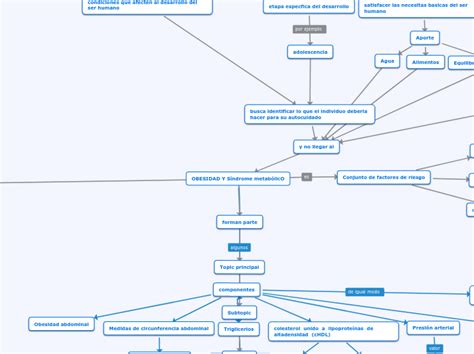 Obesidad Y S Ndrome Metab Lico Mind Map