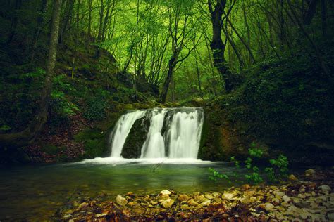 Small Waterfall In Forest Photograph By Sandra Rugina Fine Art America