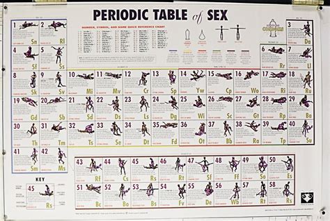 Periodic Table Of Sex Poster Positions Rare X Nos The Best Porn Website