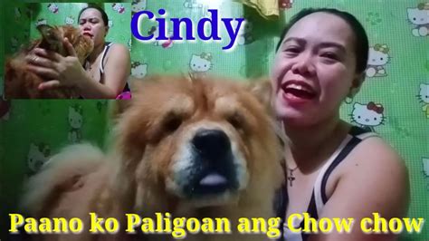 Chow Chow Cindy Take A Bath Youtube
