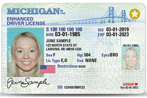 Michigan Fake Id Front And Back Scannable Fake Id Buy Best Fake Id