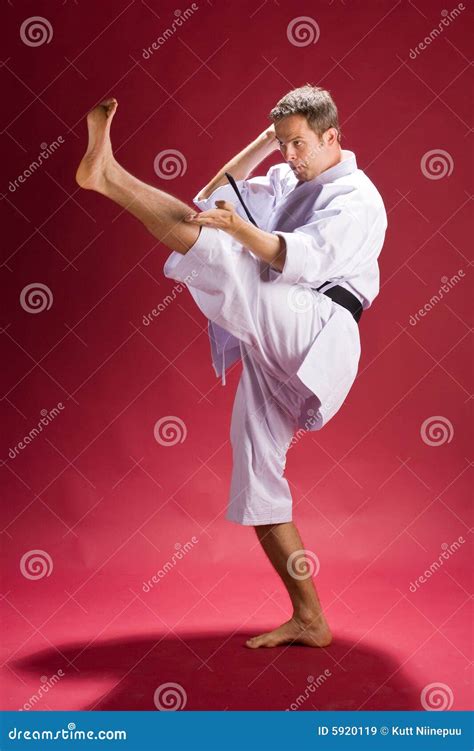 Karate Kick Stock Image Image Of Posing Kicks Practices 5920119