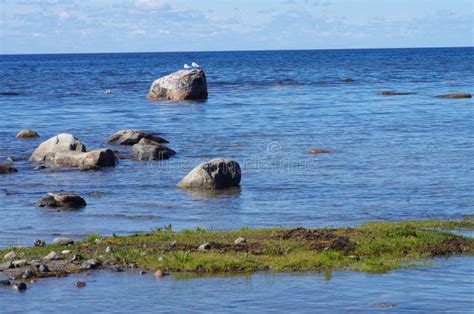 Coast Of The White Sea In Solovki Russia Stock Image Image Of White