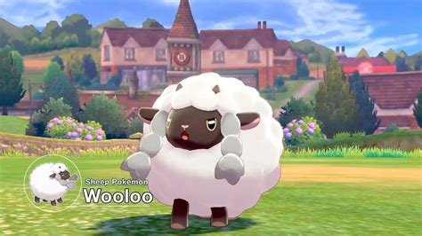Wooloo Hd Wallpapers Wallpaper Cave