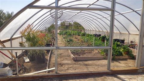 Greenhouses Offer Plants And Seedlings Room To Grow Fort Worth Star