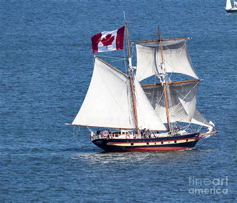 Tall Ship St Lawrence Ii Photograph By Cj Park Pixels