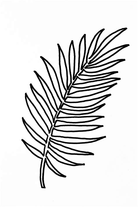 Free palm leaf clip art. Compartilhado com o Dropbox | Leaf template, Leaf template ...
