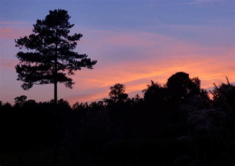 Lone Pine Sunset Photograph By Jean Wright Fine Art America