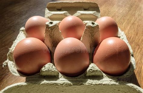 Half A Dozen Free Range Chicken Eggs Seen In An Open Egg Box Stock