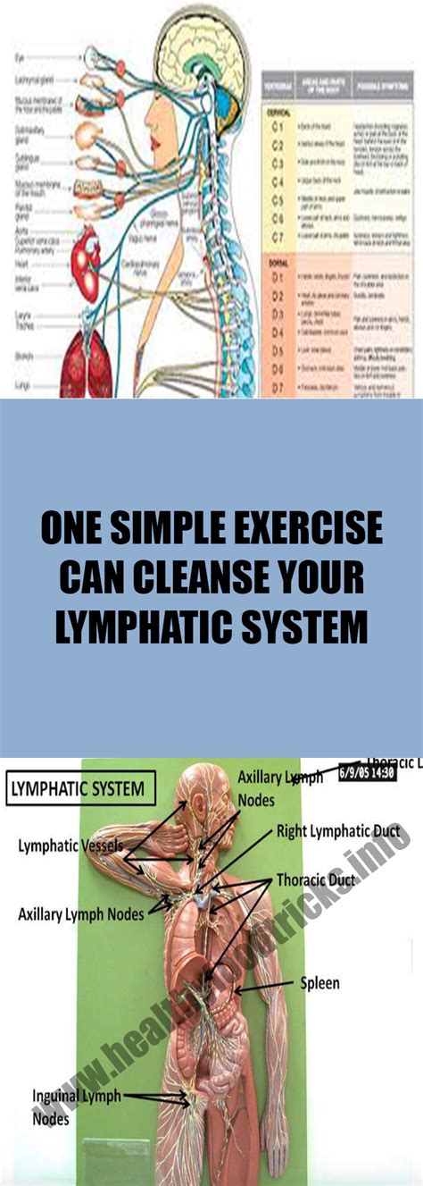 One Simple Exercise Can Cleanse Your Lymphatic System Healthy Food