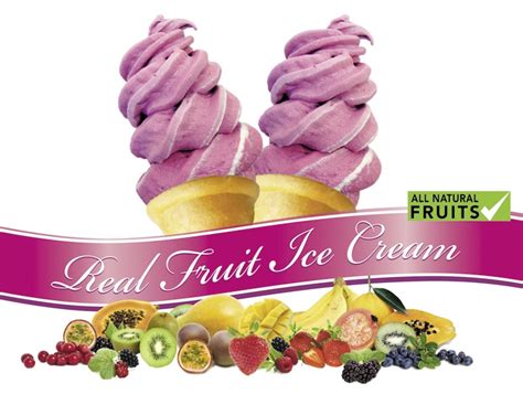 Real Fruit Ice Cream All Natural Fruits By Sparkling Windows Australia