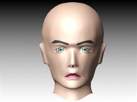 Male Head Facial Animation Free 3d Model Max Open3dmodel