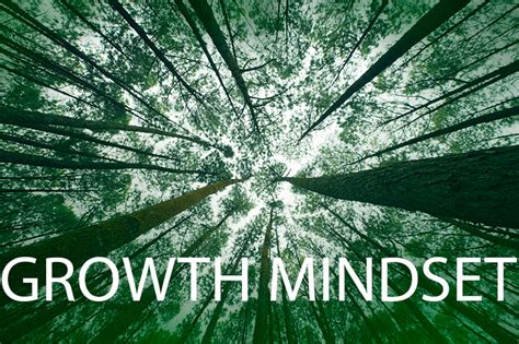 Growth Mindset Vs Fixed Mindset Higher E Learning