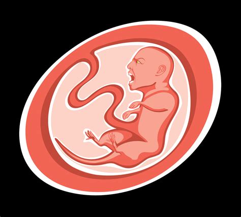 ArtStation - Bioethics and Human Rights - Poster