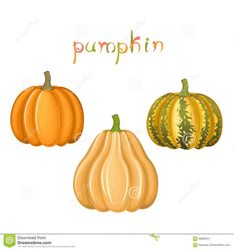 Pumpkins Collection Stock Vector Illustration Of Festival 98682917