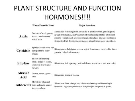 Ppt Plant Structure And Function The Last Chapter Powerpoint