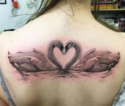 18 Stunning Swan Tattoos And Their That Means Nexttattoos