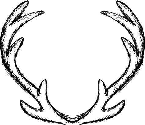 How To Draw A Deer Horn At How To Draw
