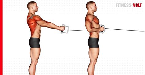 Cable Standing Row Exercise Guide And Videos Fitness Volt