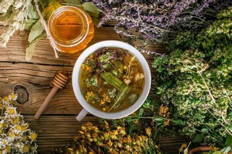 12 Wild Teas You Can Forage For Guide Nature Roamer