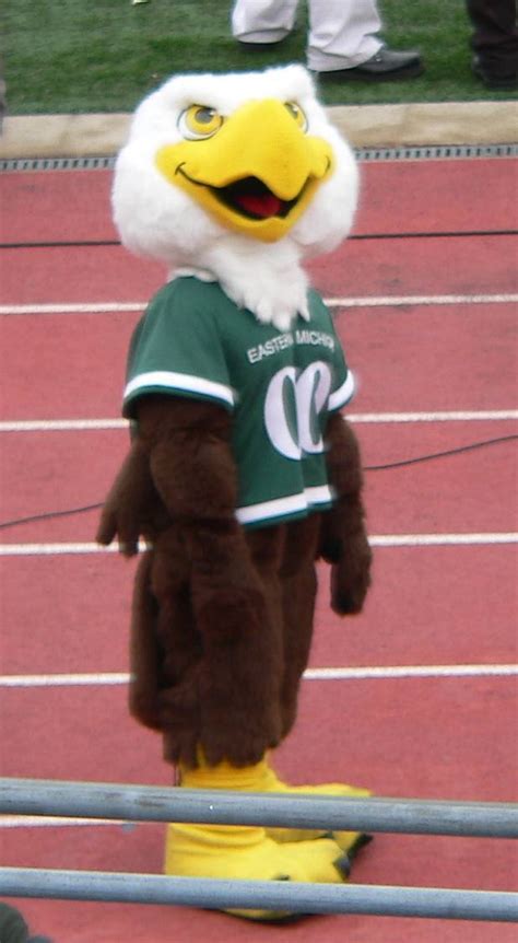 Eastern Michigan University Eagles Mascot Swoop Eastern Michigan