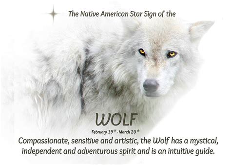 Native American Star Sign The Wolf Pisces Photograph By Stephanie Laird