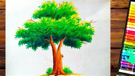 Tree Drawing Images An Amazing Collection Of Over 999 Full 4K Images