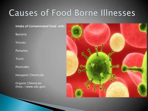 Ppt Food Borne Illnesses Powerpoint Presentation Free Download Id