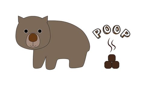 100 Cube Shaped Poops A Day Mystery Of Wombats Poop Solved Kevin