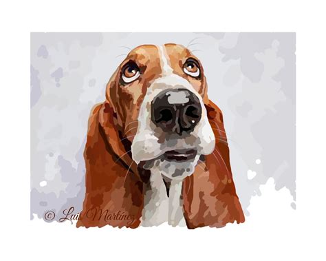 I pictured two sweet little basset hounds piled on top of each other. Those sweet basset eyes! | Dog coloring page, Animal ...