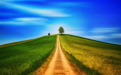 Download Dirt Road Landscape Sunny Day Blue Sky Tree 2880x1800