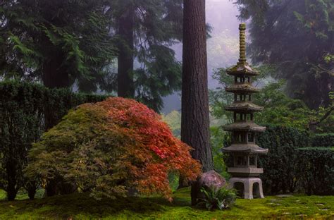 Check spelling or type a new query. About Portland Japanese Garden - Portland Japanese Garden