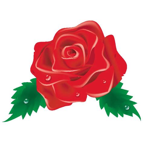 Red Rose Image Royalty Free Stock Vector Clip Art