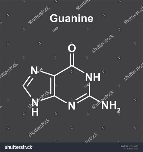 Chemical Illustration Guanine Molecule Vector Illustration Stock Vector Royalty Free