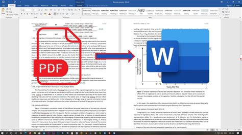Convert PDF To MS Word